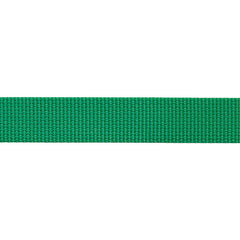 BEAL Δακτύλιος για Ιμάντα Flat 100 m, Πράσινο