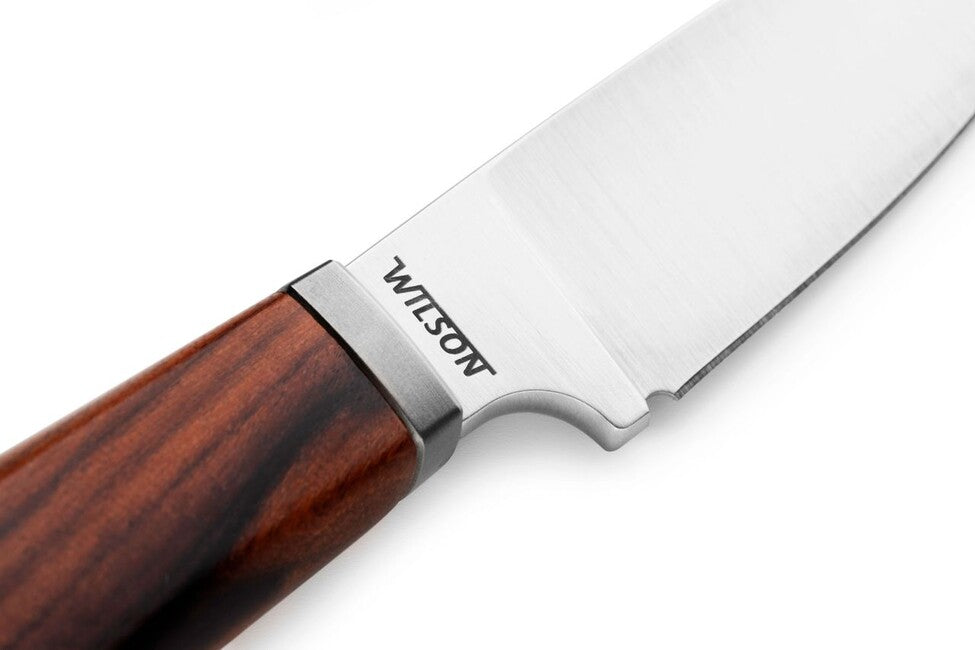 Lionsteel WILLY WL1 nož s fiksnim rezilom in ročajem iz lesa santos