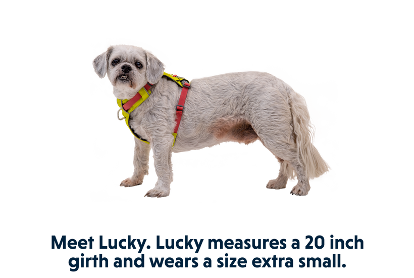 Ruffwear Hi & Light naramnica, gozdno zelena