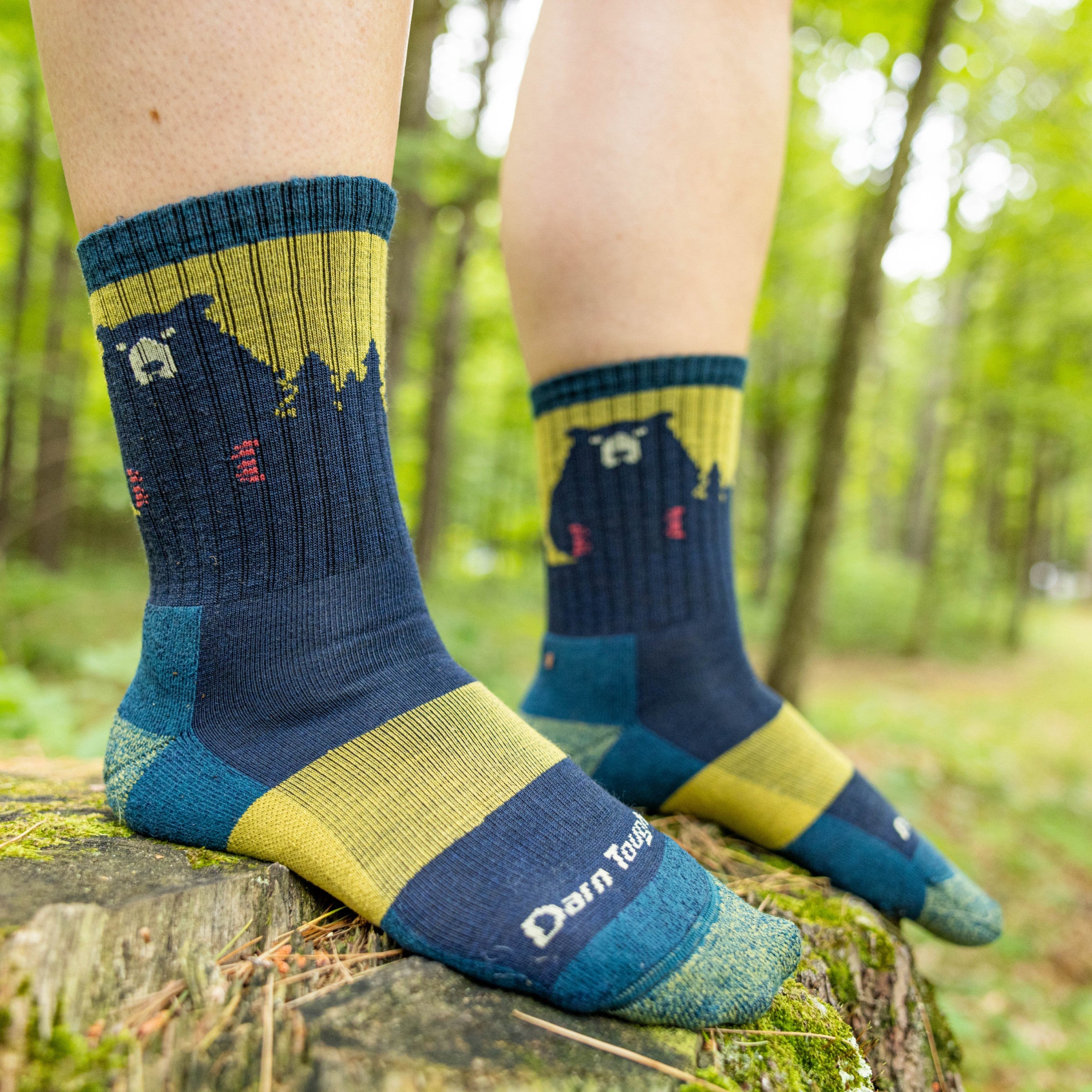 Darn Tough Bear Town Micro Crew Lightweight Cushion Hiking Socks, Dark Teal
