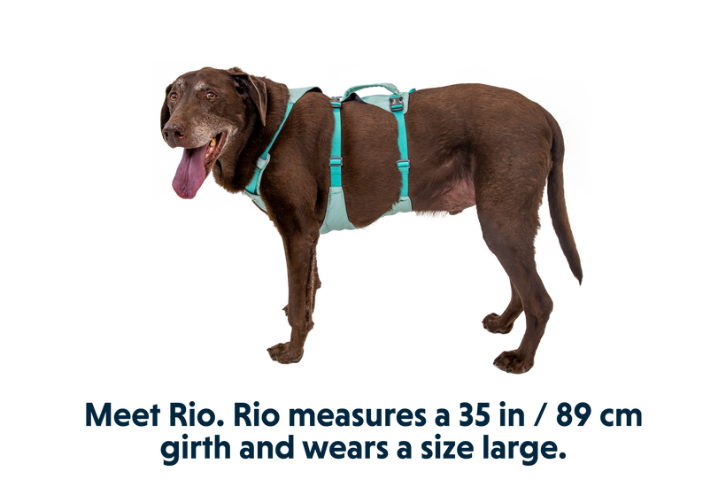 Ruffwear Flagline naramnica, svetlo zelena