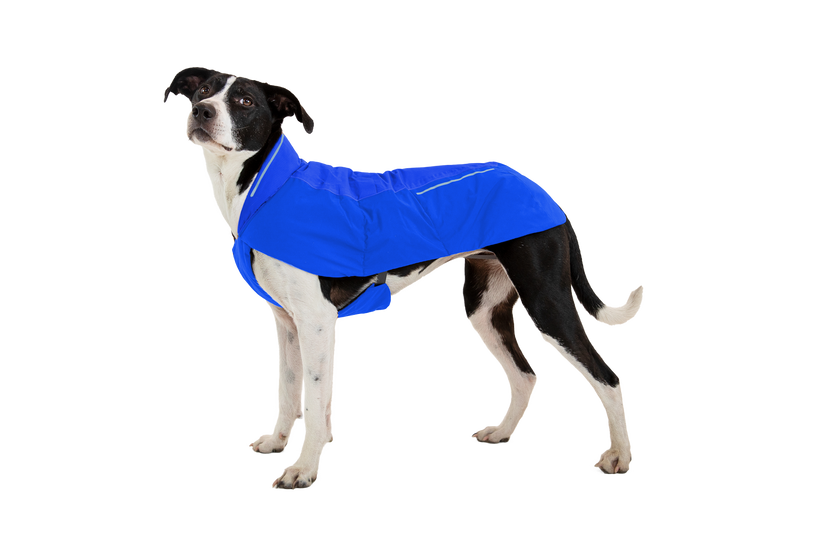 Ruffwear Vert softshell jakna za psa, modro bazen