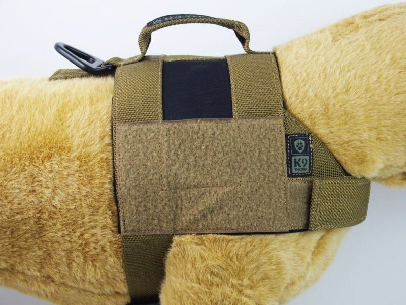 K9 Thorn Alpha pas, rjava coyote