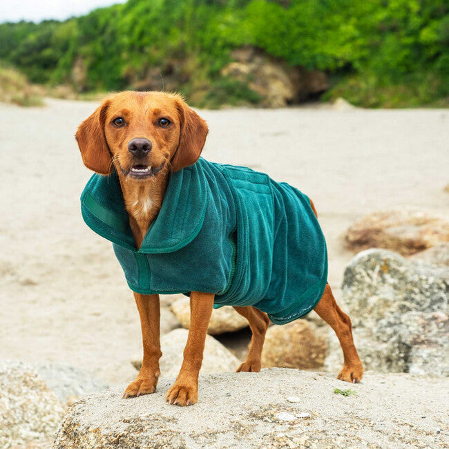 Mountain Paws Dog Robes župan za pse, velike, zelena
