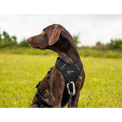 Mountain Paws Pet Harness S