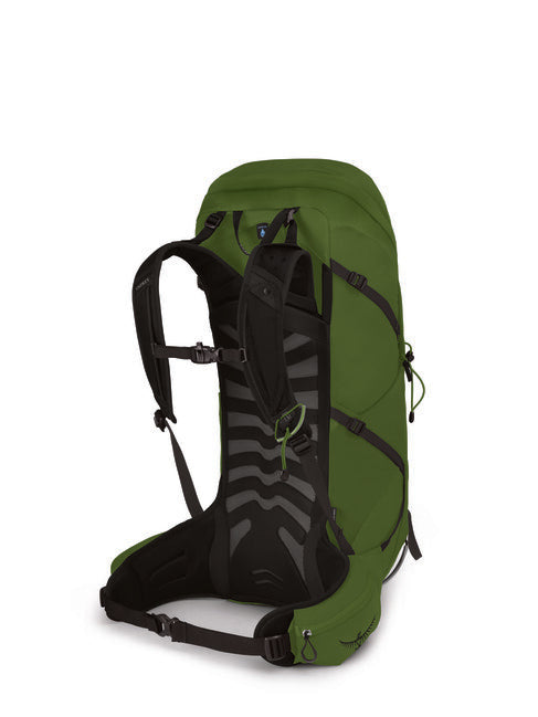 OSPREY TALON 36 pohodniški nahrbtnik, zeleni pas/črn