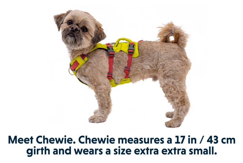 Ruffwear Flagline pasja oprsnica, svetlo zelena