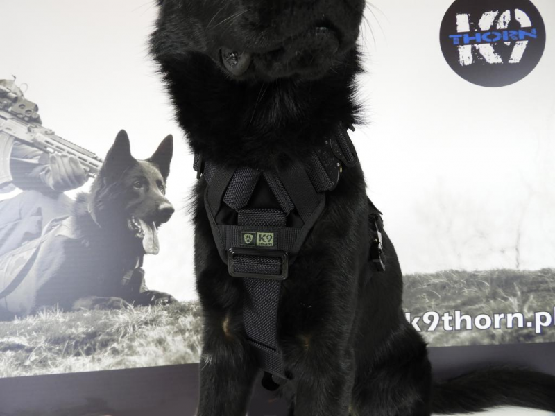K9 Thorn Delta pas