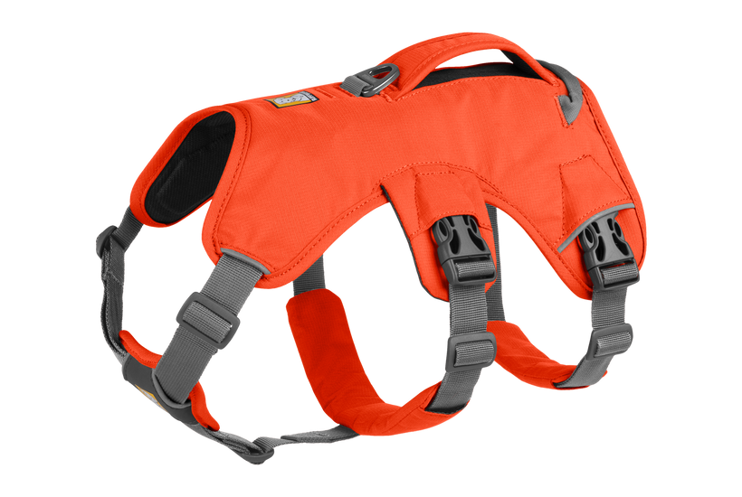 Ruffwear Web Master jarem, blaze orange