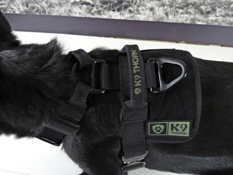 K9 Thorn Delta pas