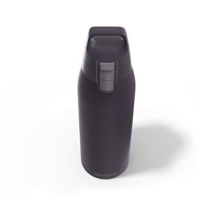 SIGG Therm One steklenica 1 L, Nocturne