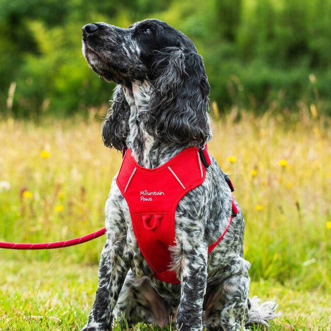 Mountain Paws Padded Dog Harness, Red, Extra Large