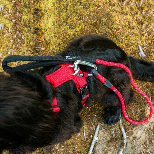 Mountain Paws Padded Dog Harness, Red, Extra Large