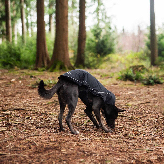Mountain Paws Αδιάβροχο Σκύλου, Extra Large