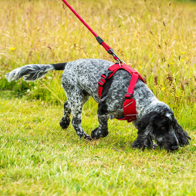 Mountain Paws Padded Dog Harness Large, Red