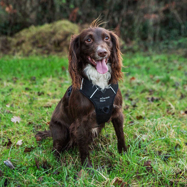 Mountain Paws Padded Dog Harness Small, Black