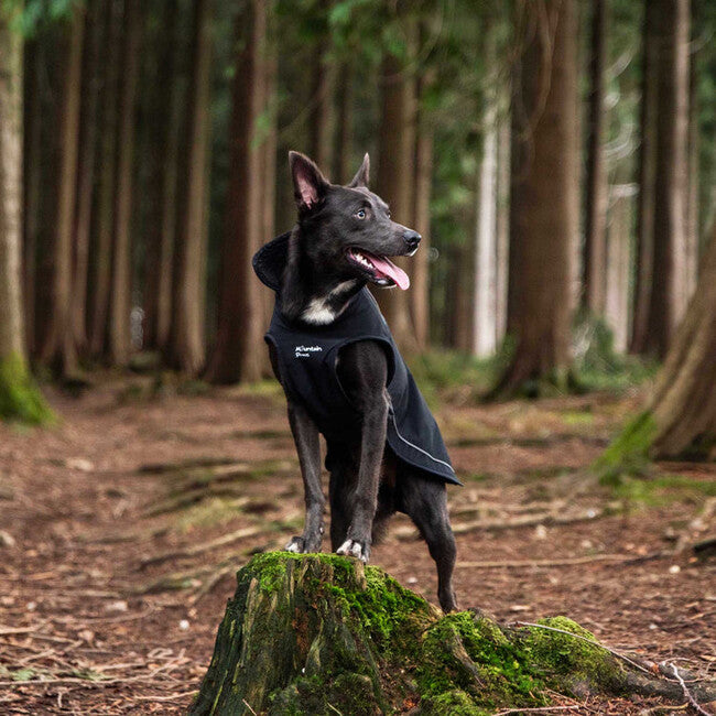 Mountain Paws prevleka za psa, velika