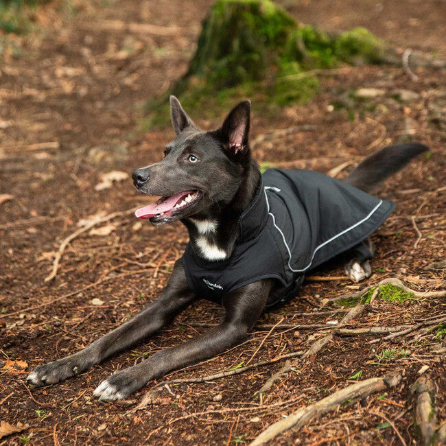 Mountain Paws prevleka za psa, velika
