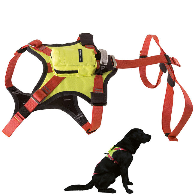 CAMP Kronos Full Body Harness for Rescue Dogs