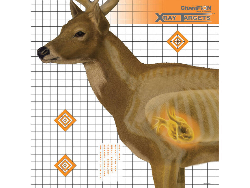 Champion Deer X-Ray tarča, 6 kos