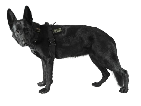 K9 Thorn Delta pas