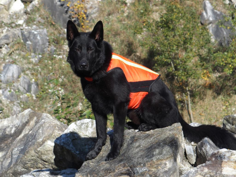K9 Thorn αμάνικο γιλέκο με ανακλαστικές ταινίες