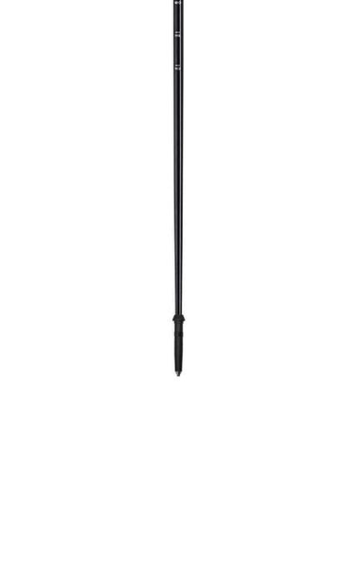 Trekking and Walking Poles