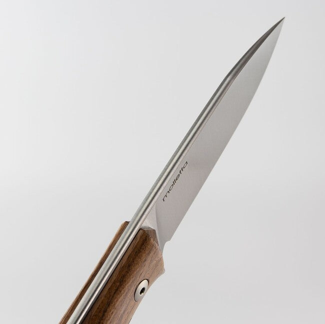 Lionsteel B35 ST nož bushcraft s fiksnim rezilom iz jekla Sleipner