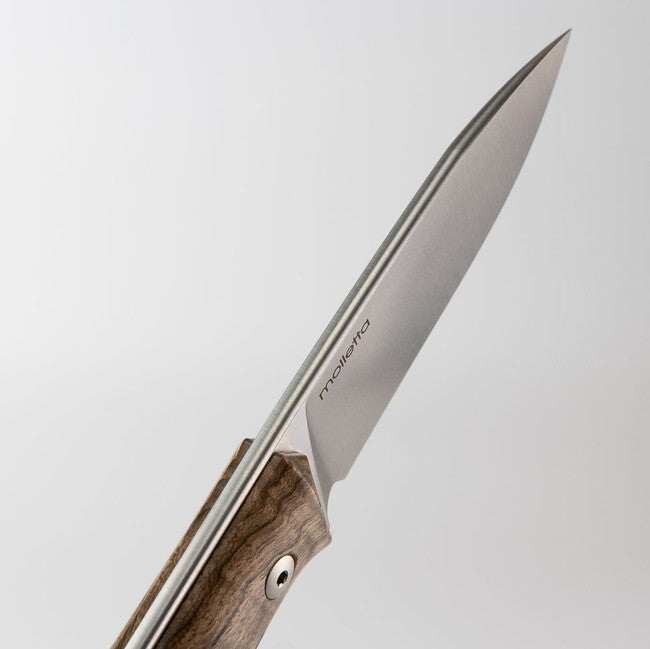 Lionsteel B35 WN nož tipa bushcraft s fiksnim rezilom iz Sleipner jekla