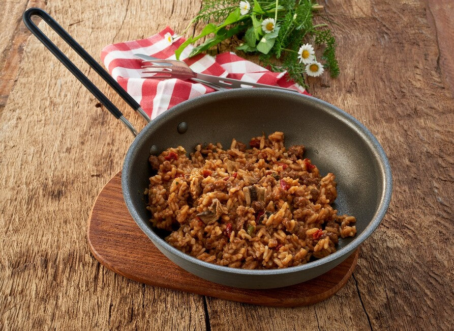 Katadyn GOURMET okusno meso z riž in začimbami
