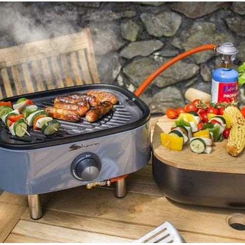 MEVA Grill Picnic