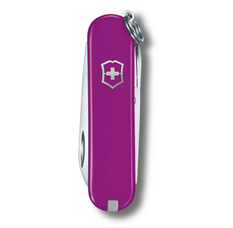 Victorinox Classic SD Colors Tasty Grape večnamenski nož, temno vijolične barve, 7 funkcij, blist