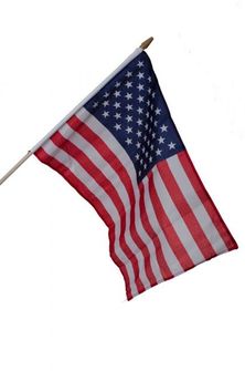 Zastava USA 43 cm x 30 cm majhna